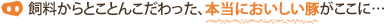 ��������Ƃ��Ƃ񂱂�������A�{���ɂ��������؂�������