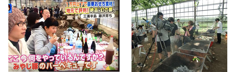 みやじ豚
